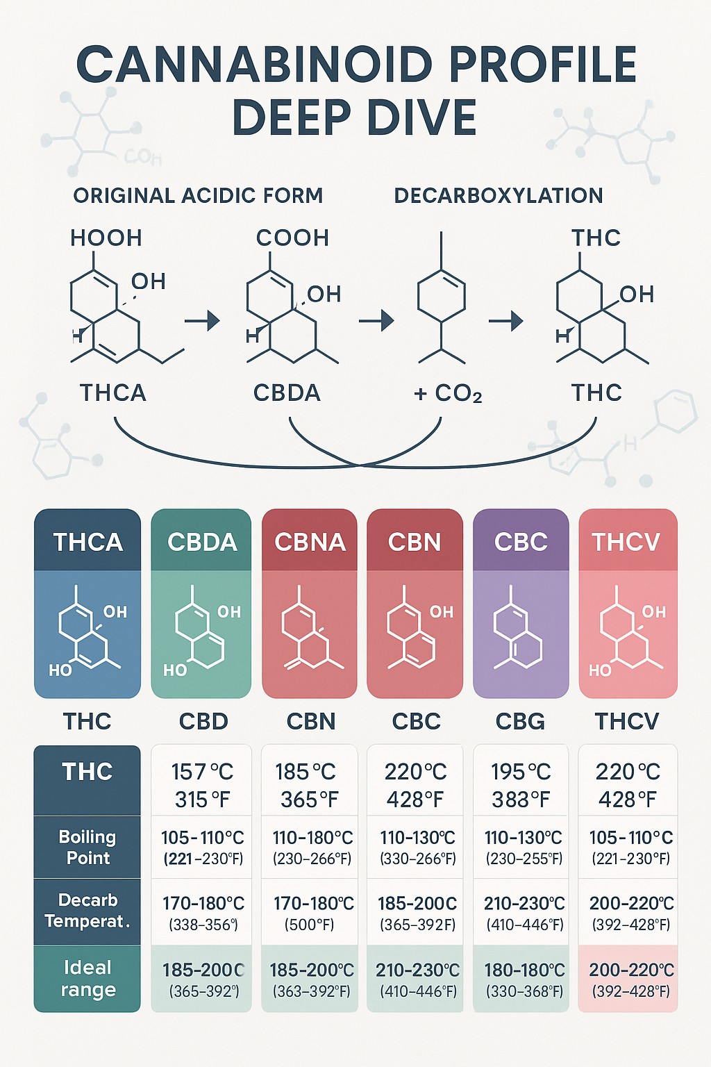 Cannabinoid Function Deep Dive